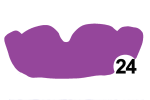 MO-SC-24 Lavender