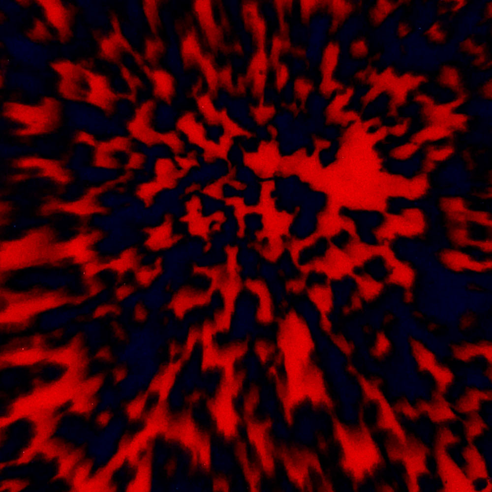MO-TC-07 - Image 2