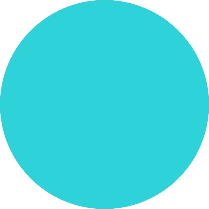 MO-SC-12 Turquoise - Image 3