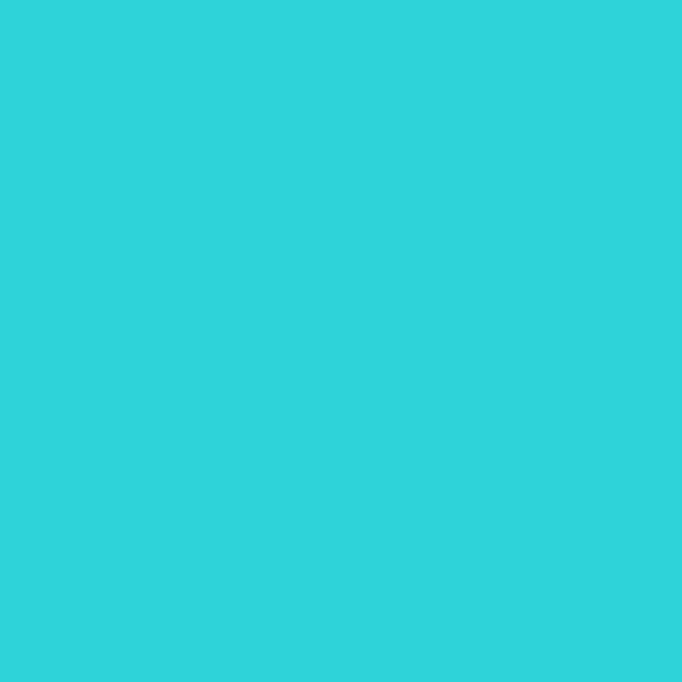 MO-SC-12 Turquoise - Image 2