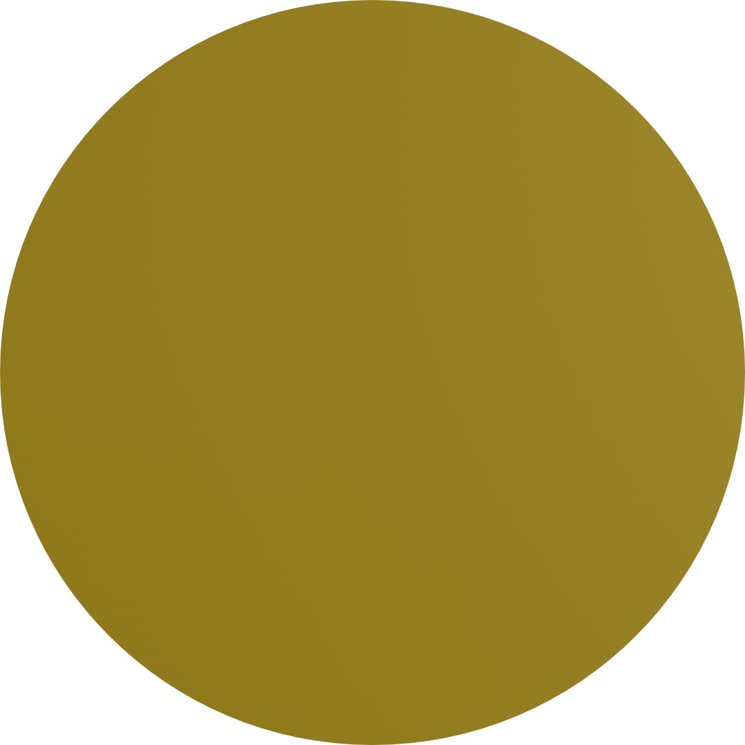 MO-SC-05 Gold - Image 3